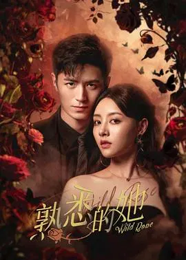 【国产剧】熟悉的她