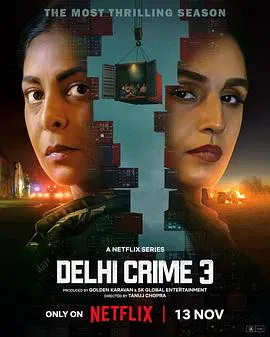 【海外剧】德里罪案第三季